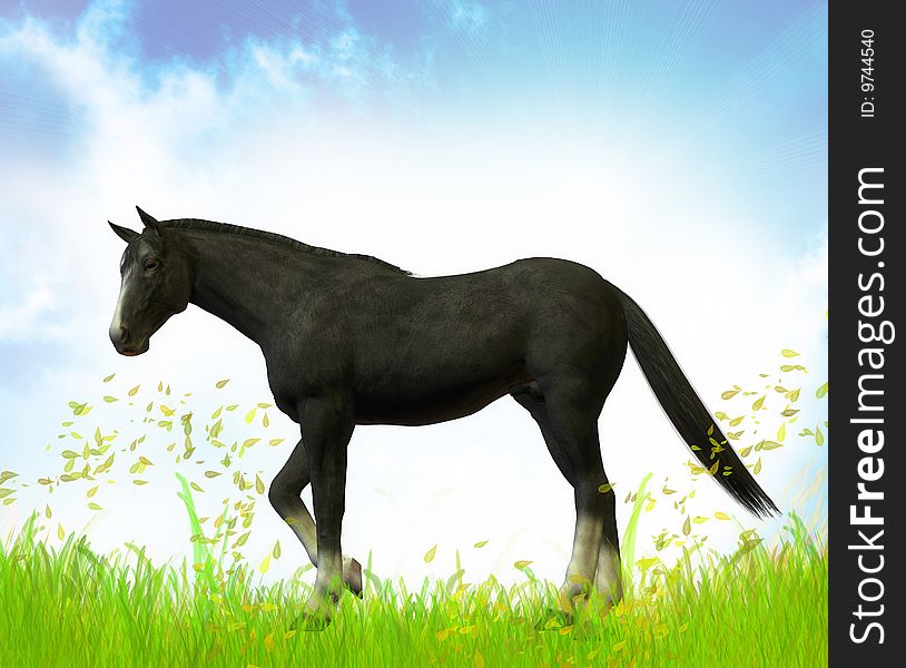 Free Black stallion in the green meadow