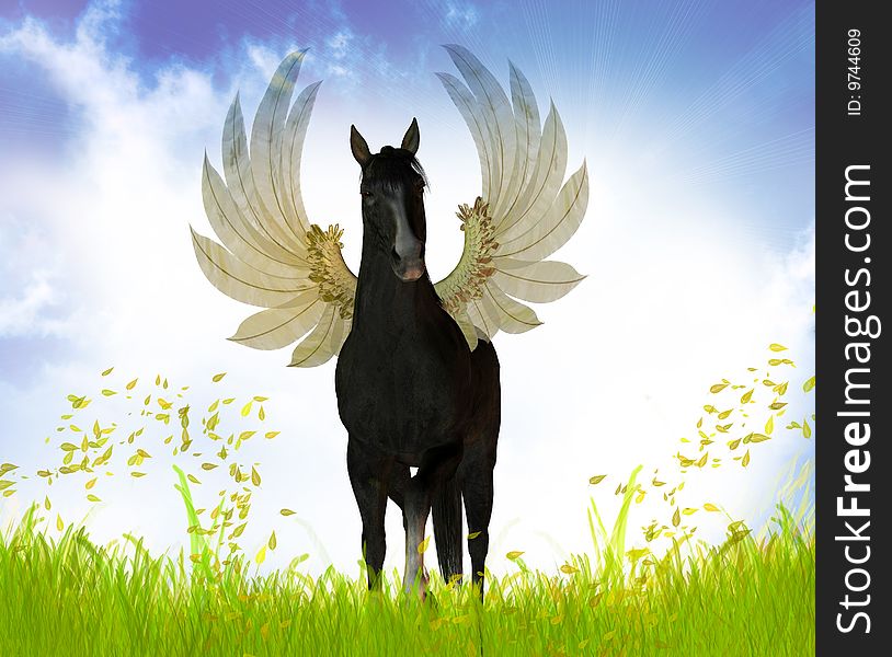 Flying Black stallion in the green meadow. Flying Black stallion in the green meadow