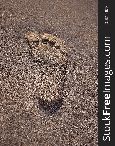 A sandy right foot print in deep wet sand, shot at delray beach. A sandy right foot print in deep wet sand, shot at delray beach.