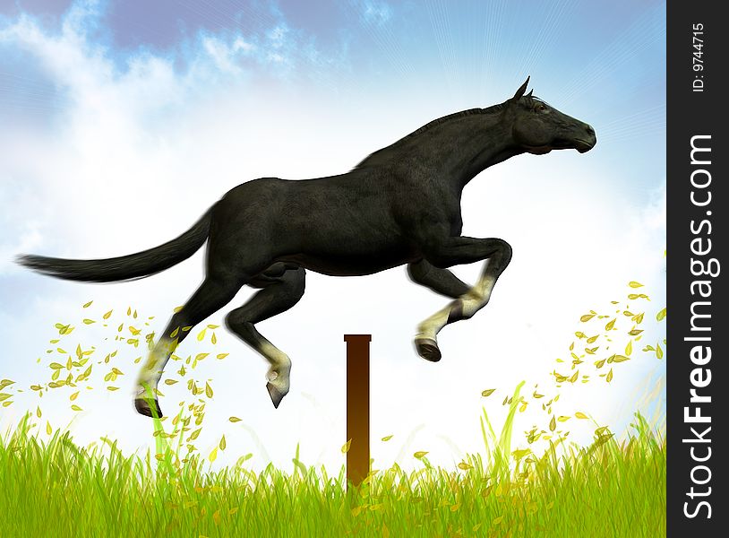 Jumping Black stallion in the green meadow