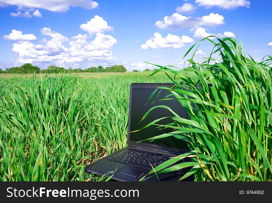 Laptop computer on the green grass and blue sky