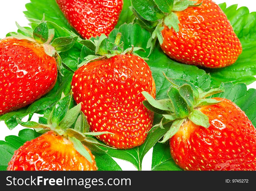 Ripe, juicy strawberry on green leaves