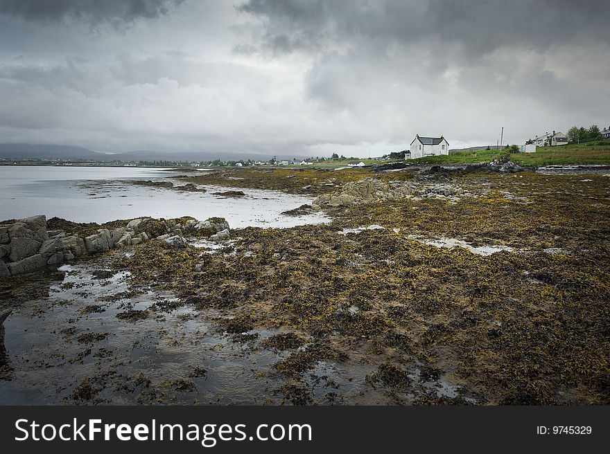 Seascape with kelp and rocks near Broadford, Scotland