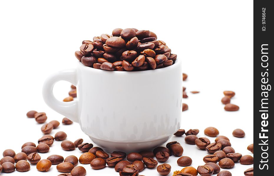 Coffee Seed and White Cup. Coffee Seed and White Cup