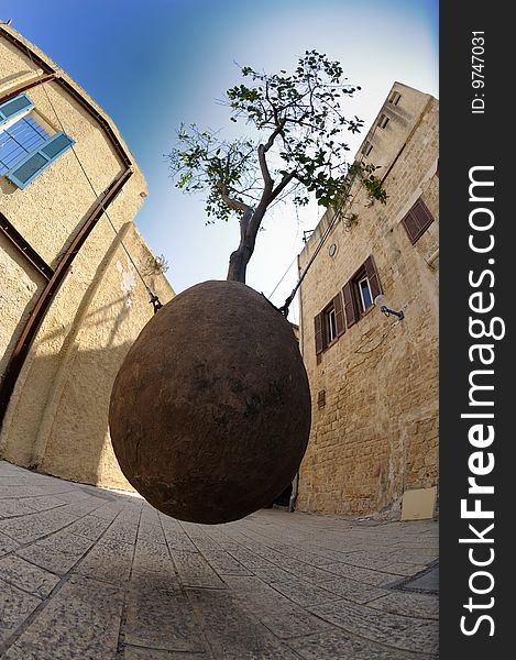 Israel, Jaffa. This tree in the stone egg execute people wishes. Israel, Jaffa. This tree in the stone egg execute people wishes.