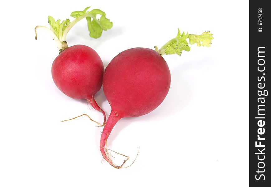 Two radishes with leaves on white. Two radishes with leaves on white