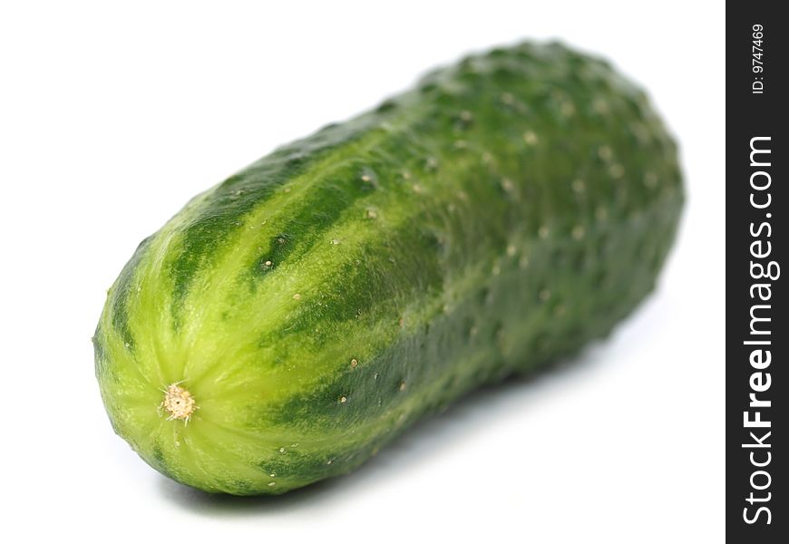 Fresh cucumber - shallow DOF, closeup