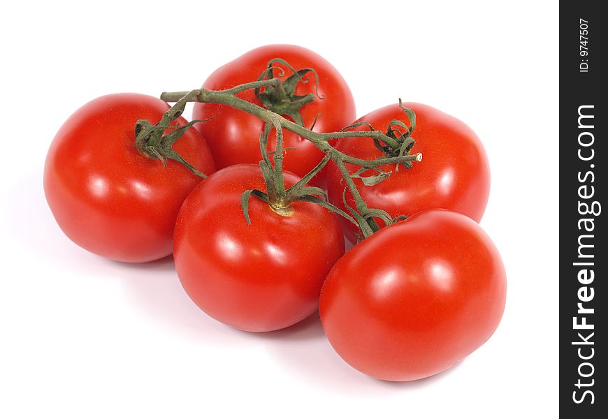 Branch Of Tomatoes