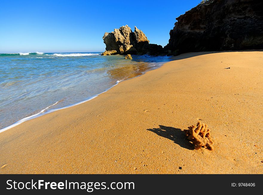 Scenic Beach With Coral And Cliff