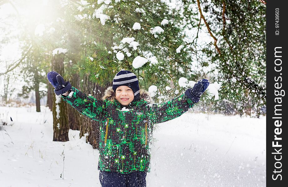 The six-year-old boy costs under a snow shower. Snowflakes have flown to pine branches to the head. Winter entertainment.