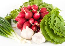 Spring Onions, Garlic, Lettuce And Radish Stock Photography Spring Onions, Garlic, Lettuce And Radish Stock Photography