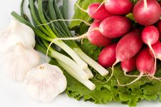 Spring Onions, Garlic, Lettuce And Radish Royalty Free Stock Images Spring Onions, Garlic, Lettuce And Radish Royalty Free Stock Images