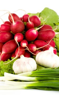 Spring Onions, Garlic, Lettuce And Radish Royalty Free Stock Photo Spring Onions, Garlic, Lettuce And Radish Royalty Free Stock Photo