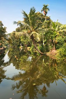 Free Exciting Journey Through The Backwaters Of Kerela Royalty Free Stock Photography - 9755517