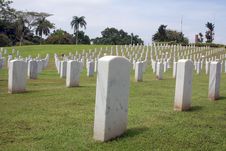 Military Cemetery Stock Photo Military Cemetery Stock Photo
