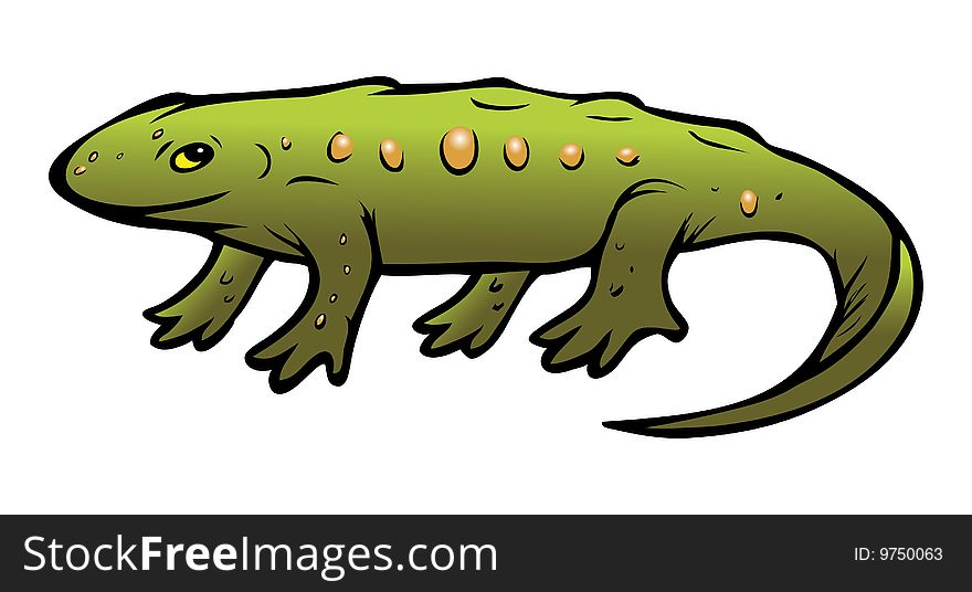 Cartoon illustration of a lizard
