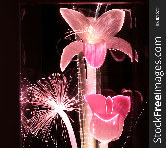 Artificial flowers lit up with fiber optics (reflection and outlines are from the plastic case they are in). Artificial flowers lit up with fiber optics (reflection and outlines are from the plastic case they are in).