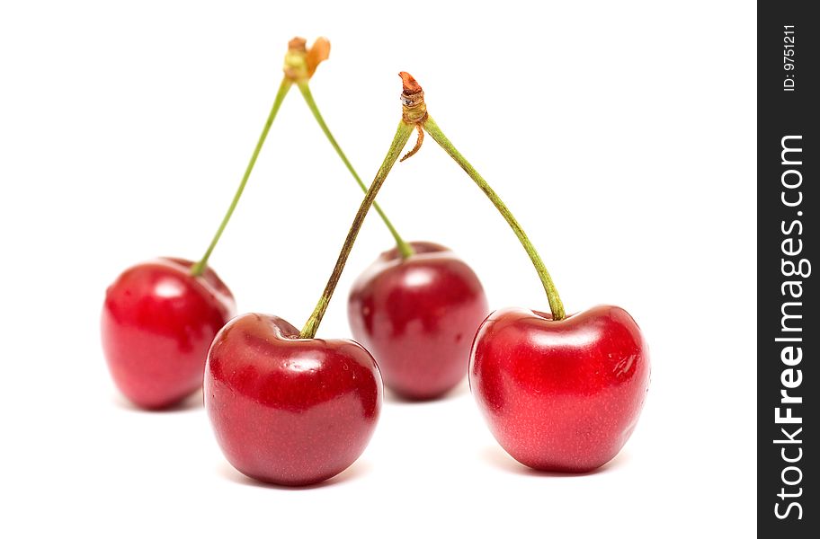 Red cherry against white background