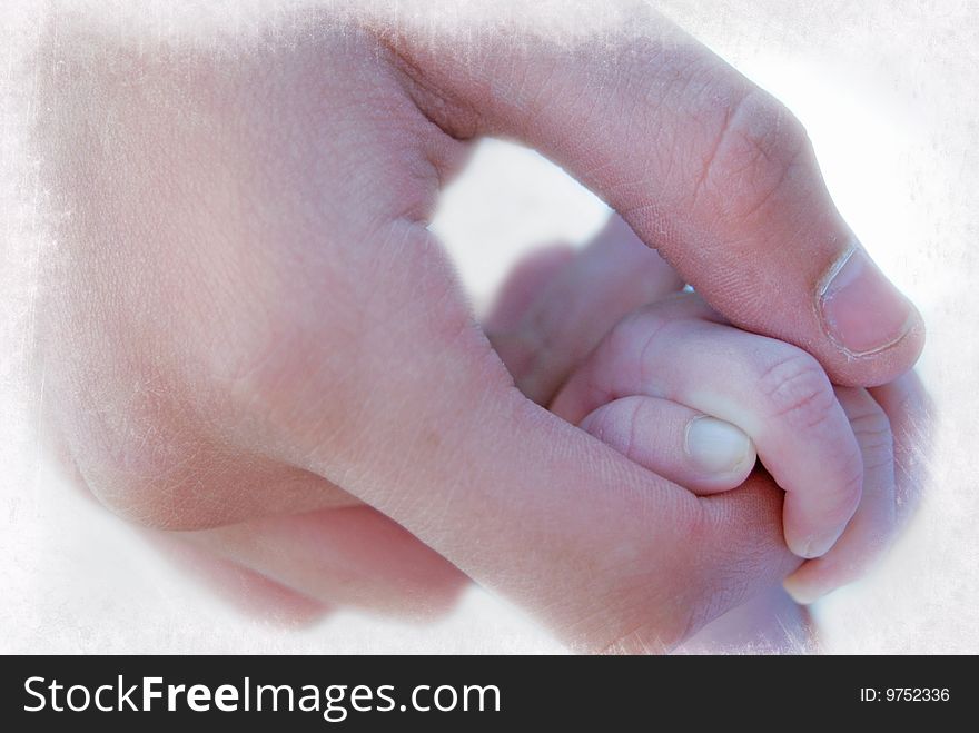 Infant gripping an adult's hand. Infant gripping an adult's hand.