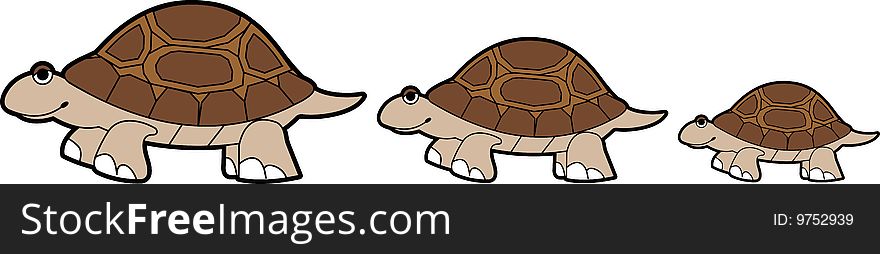 Brown Turtle Parade