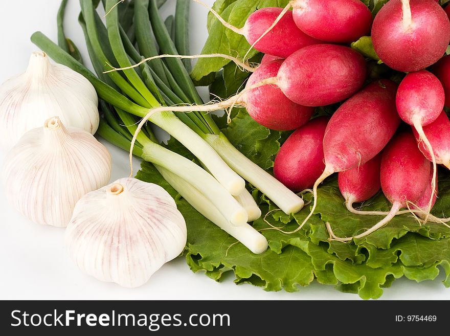 Spring onions, garlic, lettuce and radish bunch on the white background