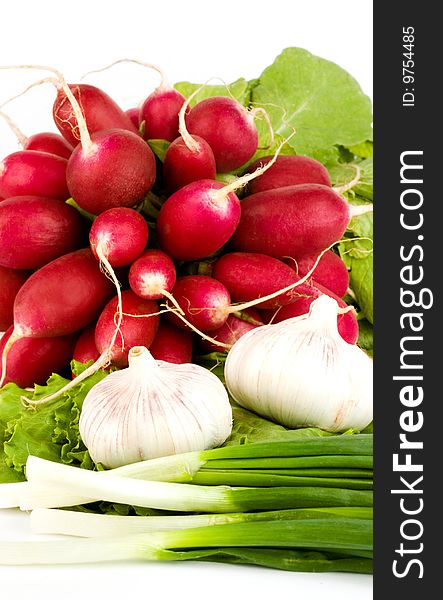 Spring onions, garlic, lettuce and radish bunch on the white background