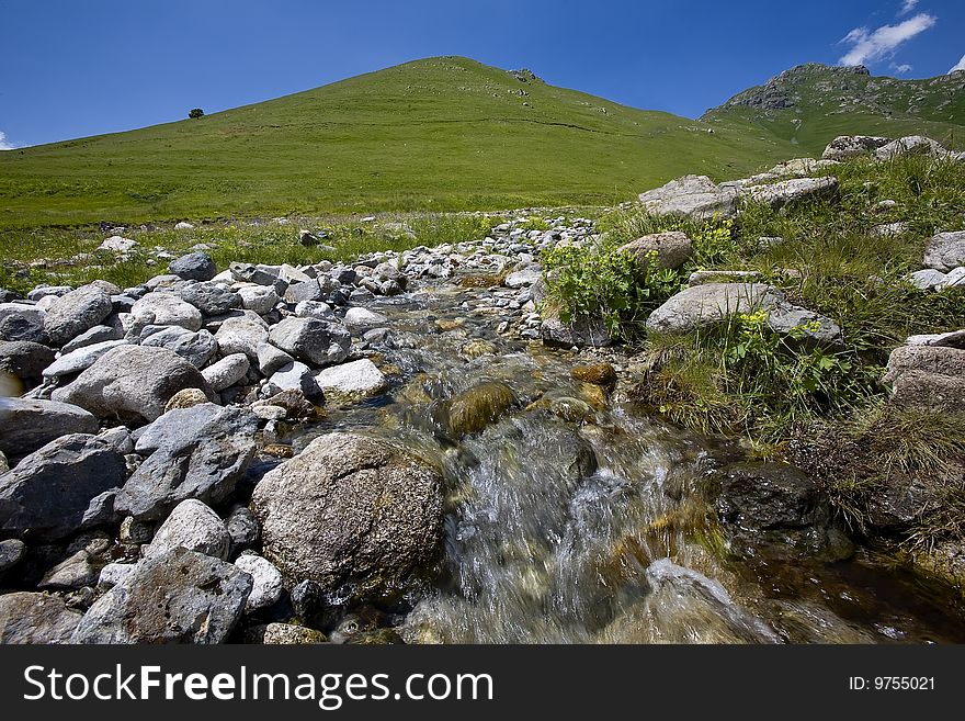 Small stream flows through alpine meadows. Small stream flows through alpine meadows.