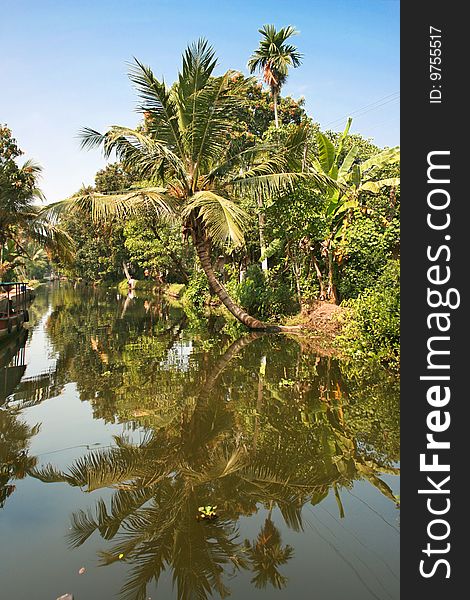 Exciting journey through the backwaters of Kerela, India