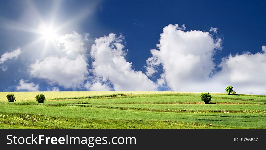 Blue Sky And Green Field