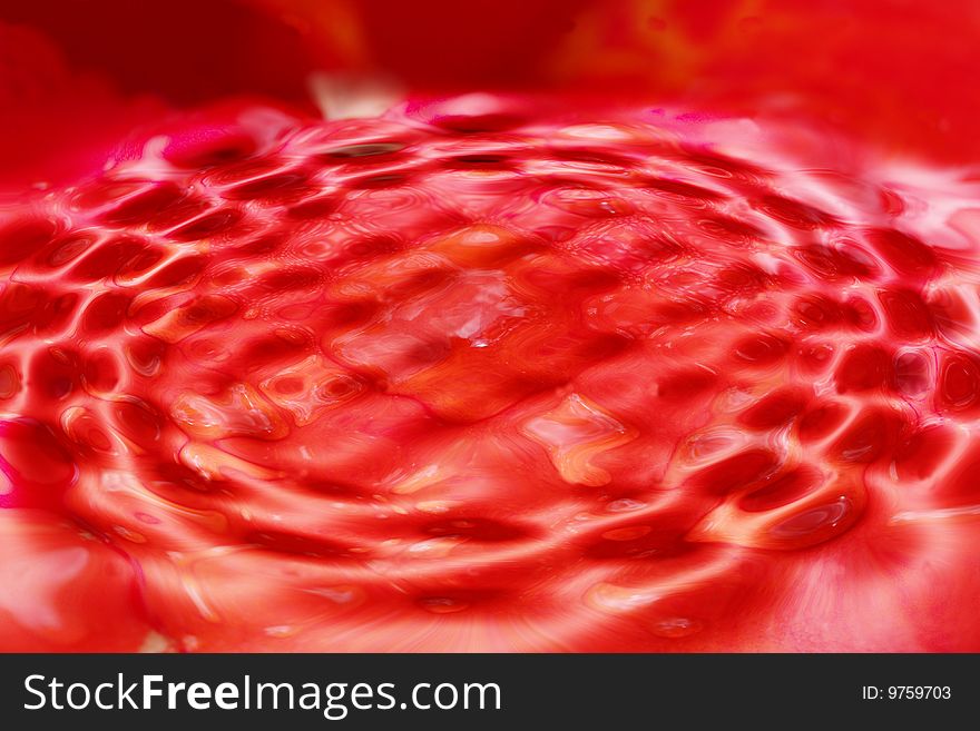 Flower petals background with water ripples. Flower petals background with water ripples