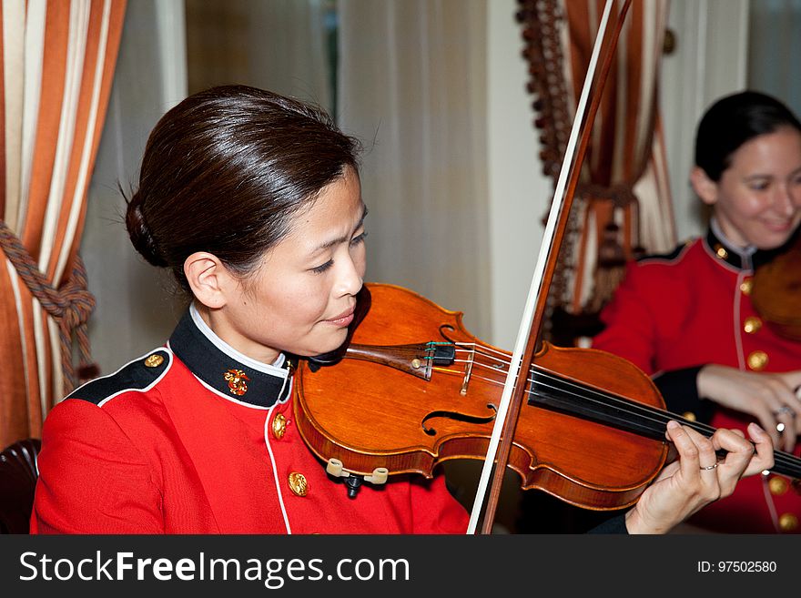 Violin, Violin Family, Viola, Violinist