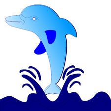 Dolphin Royalty Free Stock Image Dolphin Royalty Free Stock Image