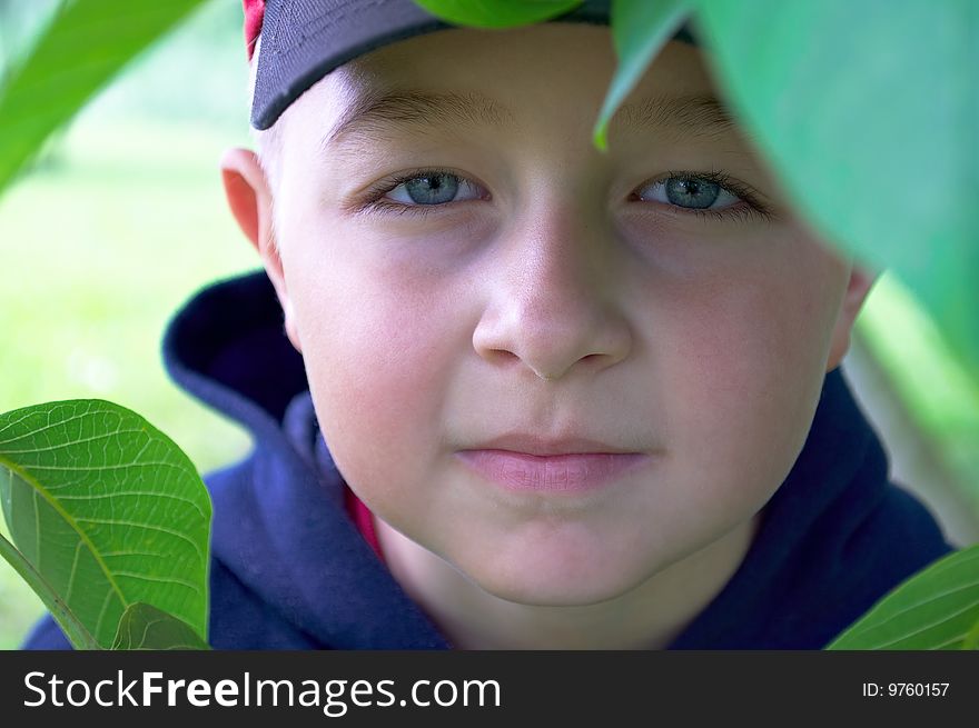 Boy playing in the summer leave. Boy playing in the summer leave