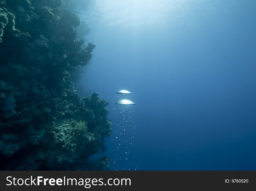 Ocean, sun and bubbles taken in the red sea.