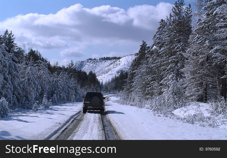 Winter road through the forest. Winter road through the forest