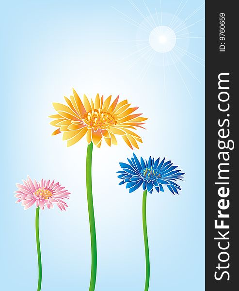 blooming flowers and a blue background