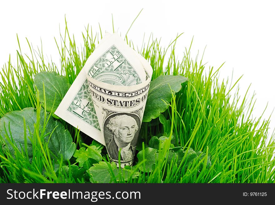 Banknote folded as a tube inside the green grass and leaves. Banknote folded as a tube inside the green grass and leaves