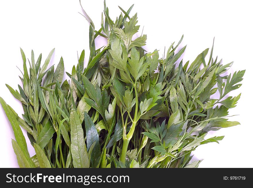 Green parsley on a white background