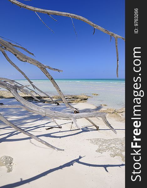 A view of tropical beach paradise in cayo coco, cuba. A view of tropical beach paradise in cayo coco, cuba