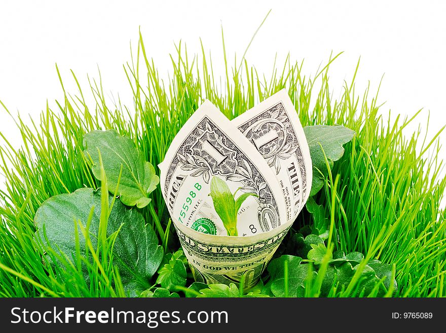 In the middle of green grass placed banknote. In the middle of green grass placed banknote