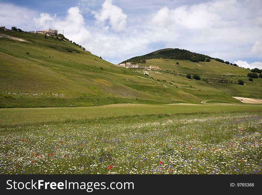 This is a summer landscape in umbria