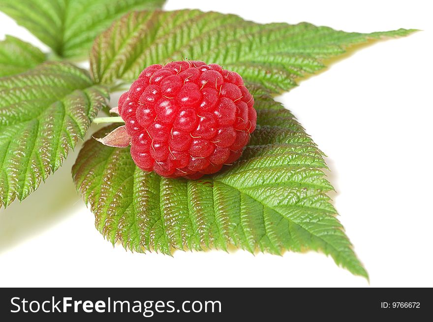 Raspberry on green leaf isolated on white background