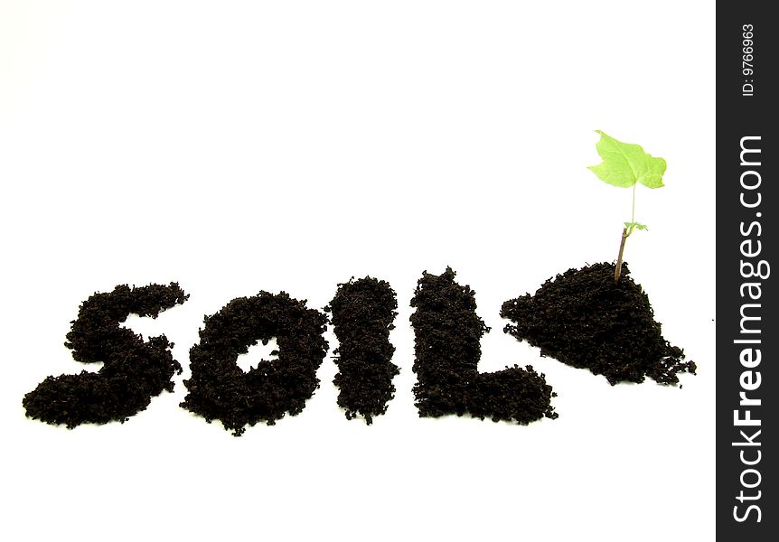 Text soil and plant