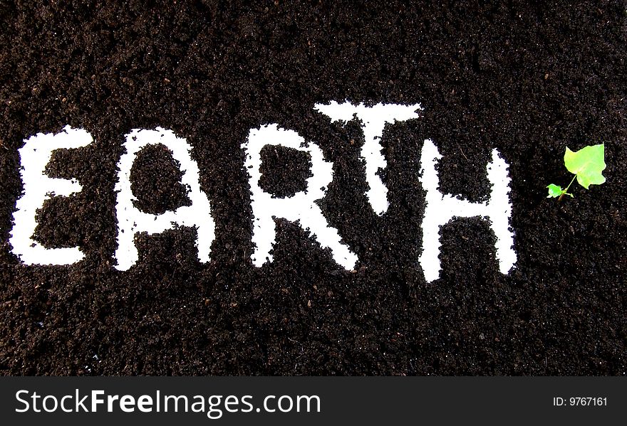 Text Earth With Plant