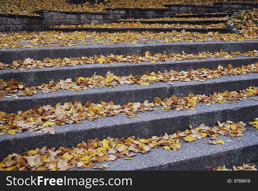 Outdoor stairway with a bunch of yellow fallen leaves. Outdoor stairway with a bunch of yellow fallen leaves