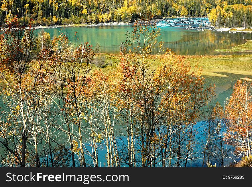 The colorful water and trees in kanas lake in Xinjiang province of China