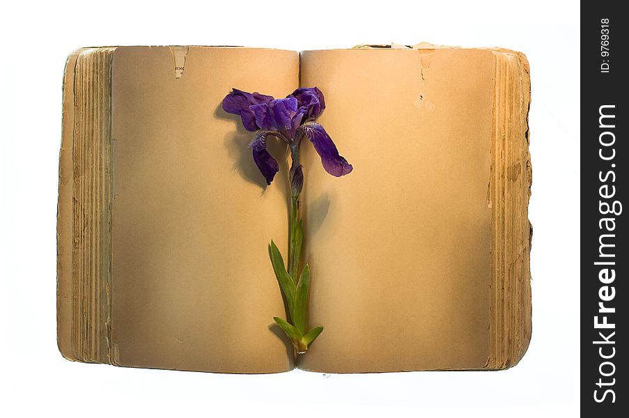 Blank old Book with flower isolated on white background