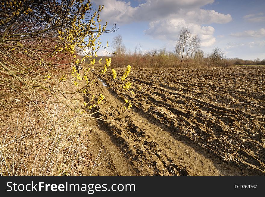 Spring on arable land