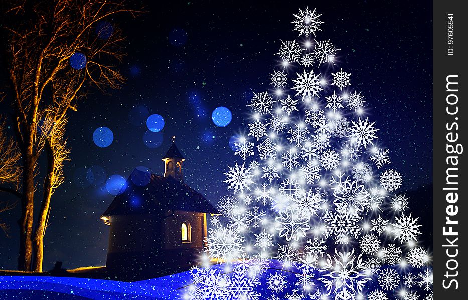 Blue, Christmas Tree, Nature, Winter