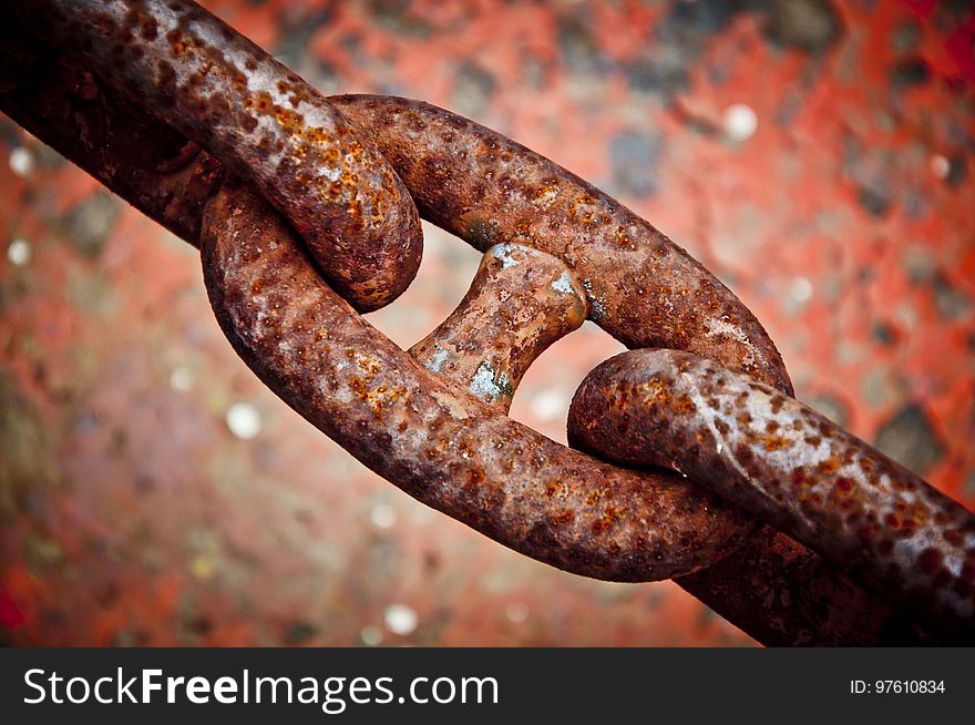 Close Up, Rust, Macro Photography, Organism